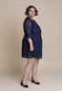 Picture of CURVY GIRL LACE DRESS